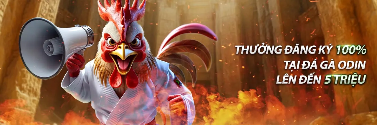 Cá cược võ tổng hợp